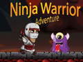 Игра Ninja Warrior Adventure