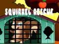 Игра Squirrel Rescue