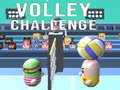Игра Volley Challenge