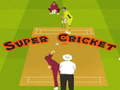 Игра Super Cricket 