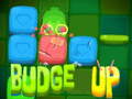 Ігра Budge Up