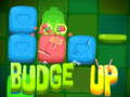 Игра Budge Up