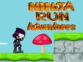 Ігра Ninja Run Adventures