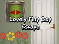 Игра Lovely Tiny Boy Escape