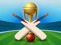 Игра Cricket Champions Cup