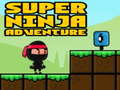 Игра Super Adventure Ninja