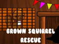 Игра Brown Squirrel Rescue