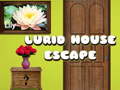 Ігра Lurid House Escape