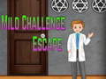 Ігра Amgel Mild Challenge Escape