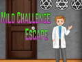 Игра Amgel Mild Challenge Escape