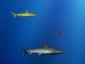 Игра Lost shark