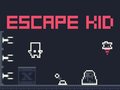 Игра Escape Kid