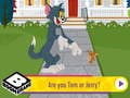 Игра Are You Tom or Jerry?