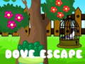 Ігра Dove Escape