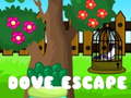 Игра Dove Escape