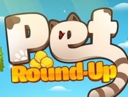 Игра Скругление домашних животных онлайн