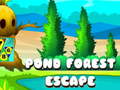 Игра Pond Forest Escape