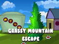 Игра Grassy Mountain Escape