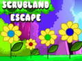 Ігра Scrubland Escape