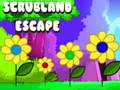 Игра Scrubland Escape