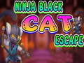 Ігра Ninja Black Cat Escape