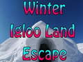 Игра Winter Igloo Land Escape 