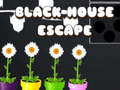 Ігра Black House Escape