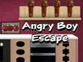 Игра Angry Boy Escape