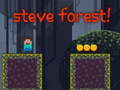 Ігра Steve Forest