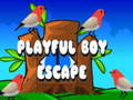 Игра Playful Boy Escape