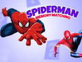 Игра Spiderman Memory Matching