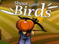 Игра Shoot Some Birds