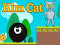 Игра Kim Cat