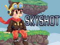 Игра Skyshot