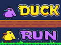 Игра Duck Run