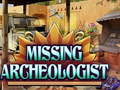 Игра Missing Archeologist