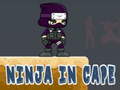 Игра Ninja in Cape