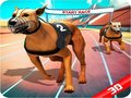 Игра Crazy Dog Race