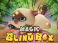 Игра Magic Blind Box