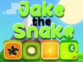 Игра Jake The Snake