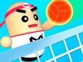 Игра 3D Amazing VolleyBall