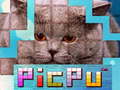 Игра PicPu Cat 