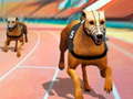 Игра Dogs3D Races