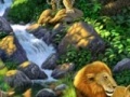 Игра Safari Find the animals