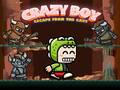 Игра Crazy Boy Escape From The Cave