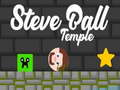 Игра Steve Ball Temple