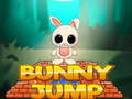 Ігра Bunny Jump