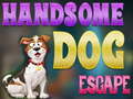 Ігра Handsome Dog Escape