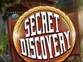 Игра Secret Discovery