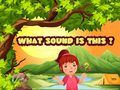 Игра What Sound Is This?